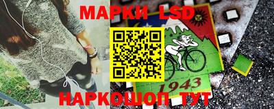 шишки Нарткала