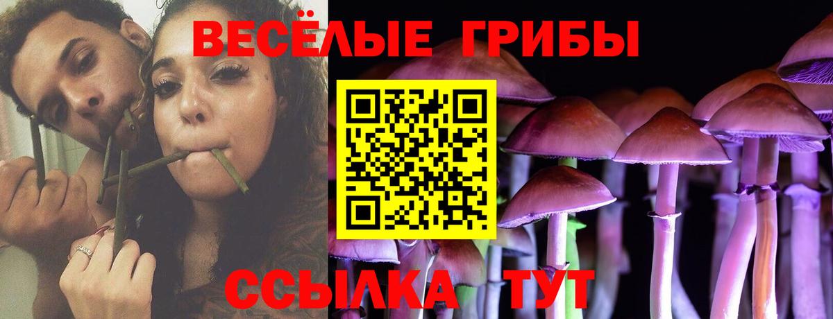 Галлюциногенные грибы GOLDEN TEACHER Тольятти